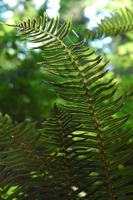 th_DSC_0094.jpg