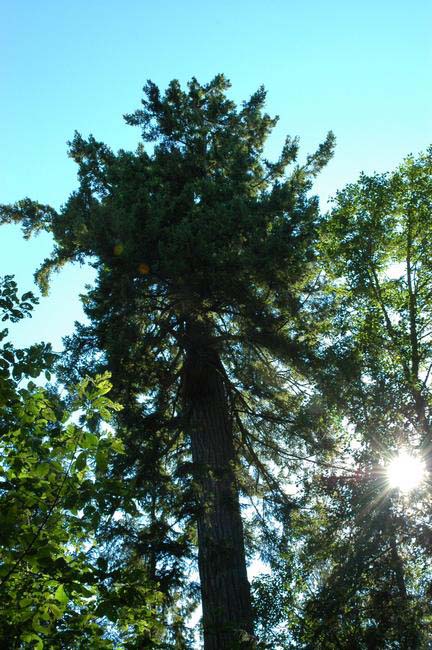 th_DSC_0096.jpg
