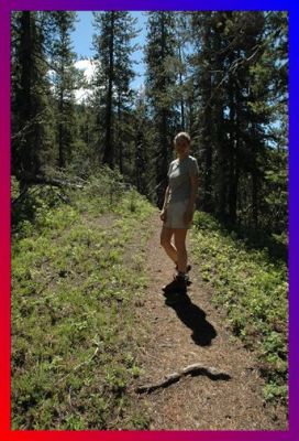 DSC_0007_trans.JPG