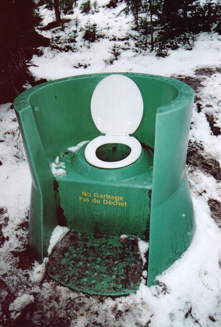 The backcountry style, private tree enclosed toilet.