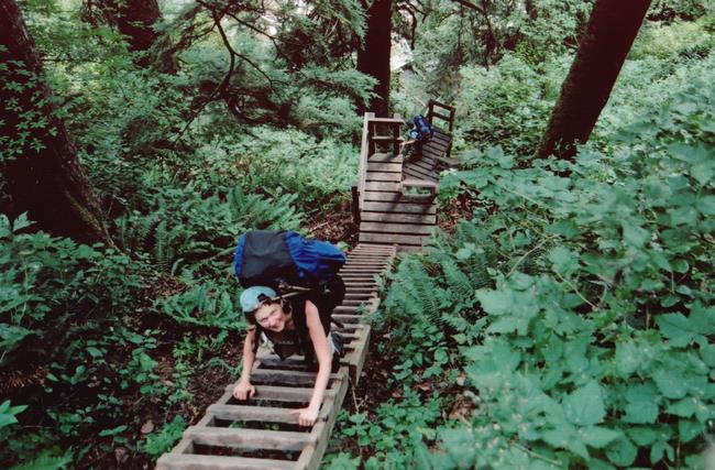 Our first ladders to Thrasher Cove camp. A little padding for the shins would help!