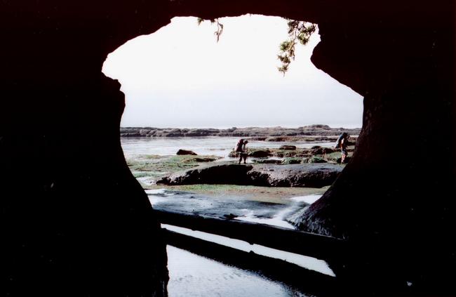 Beautiful caves at Owen Point.
