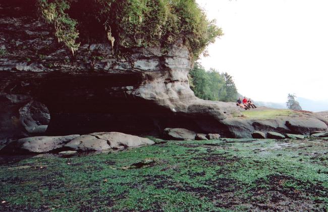 th_Scan561.jpg