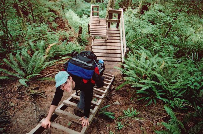 Here come the ladders.