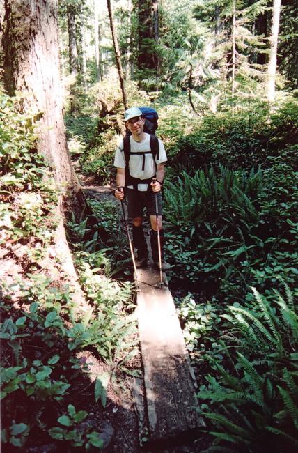 Today we are on route to Logan beach, and face ladders and more ladders and more ladders - each with at least 50 rungs. We are back to trekking through gorgeous jungle like trail until we reach Logan creek.