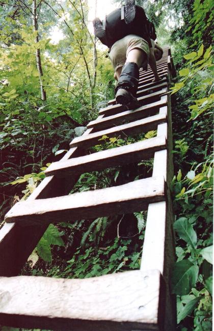 th_Scan584.jpg