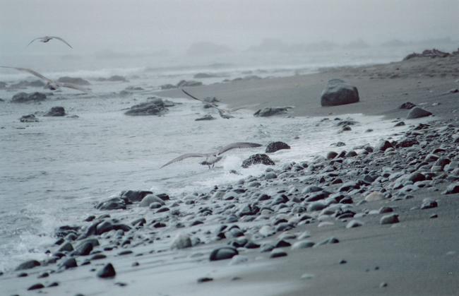 th_Scan595.jpg