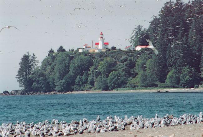 Carmanah lighthouse in the distance.