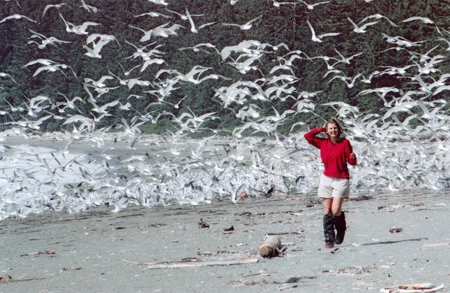 The beach is covered in gulls, flying about in every direction. Of course Lauri loves to run about and make them all fly.