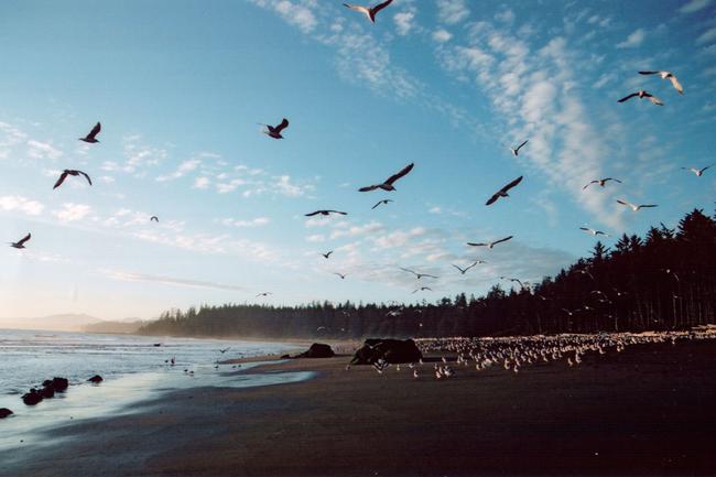 th_Scan6181.jpg
