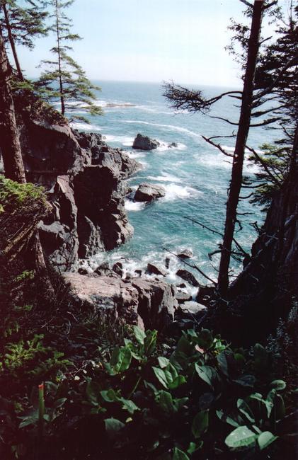 After the boat crossing at Nitinat, the trail slowly ascends upwards, and the views become spectacular. We call it the West Coast Hawaii!