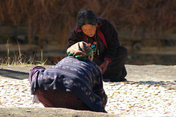 Woman sit on top of the roof of their home, laying out apples to dry.