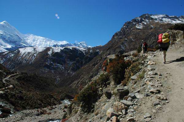 Trail to Yak Kharka.