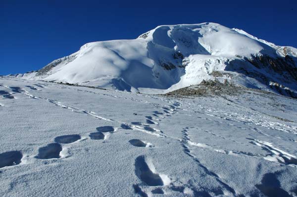 Thorung Peak, viewed from the Pass