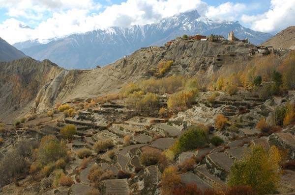 Day trip to Dzong