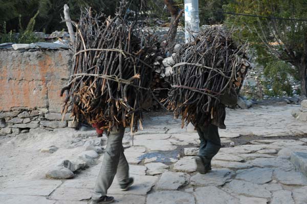 Firewood being carried by the porters