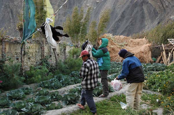 Dawa and Manoj help to rescue our laundry which is flying away in the wind