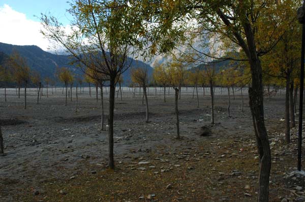 Near Kanti