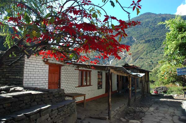 Village framed by vibrant red Poinsettias