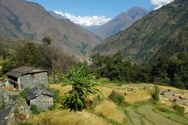 Trail to Silke with its lush green rice terraces and distant white-capped mountain view