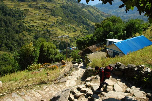 The elaborate stone staircase descending into the valley and village of Trikedungha
