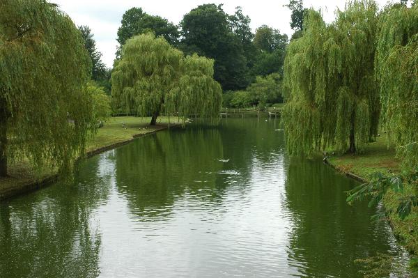 Garden at Leeds Castle, near Maidstone, England