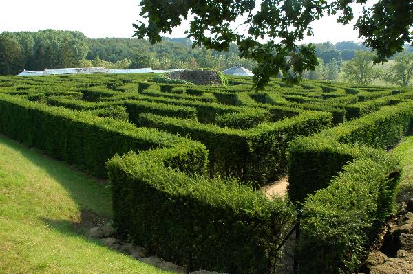 Maze behind castle ...