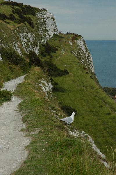 White Cliffs of Dover