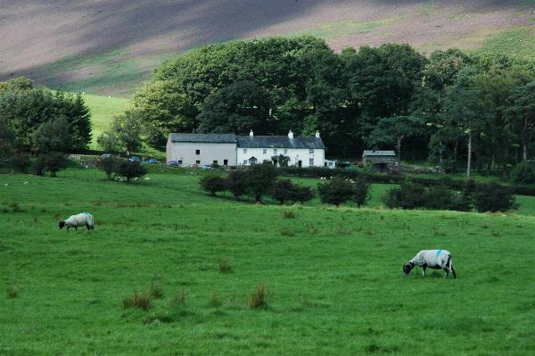 Our Bed and Breakfast across the valley in the Lakes District