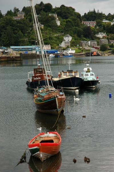Harbour view near Oben, Scotland