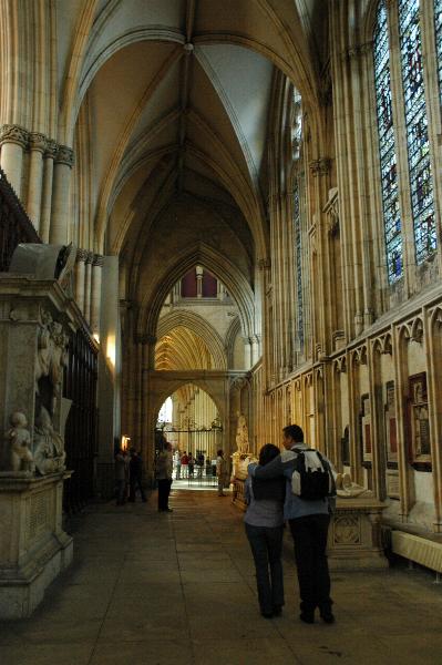 Dsc_335_0799.jpg