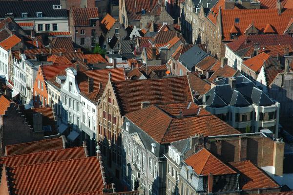 View from the Tower