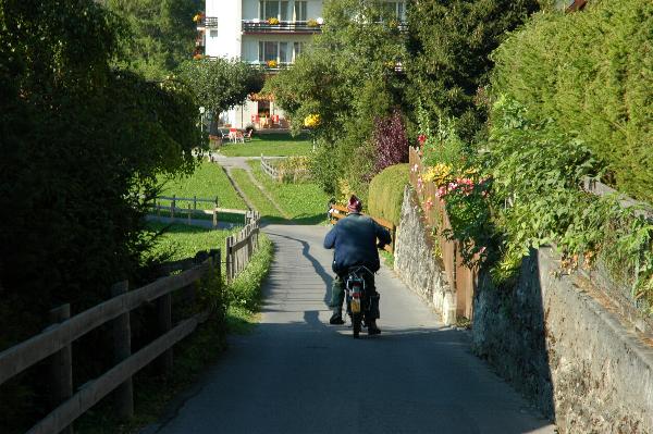 Local traffic on the road descending from the Alps!