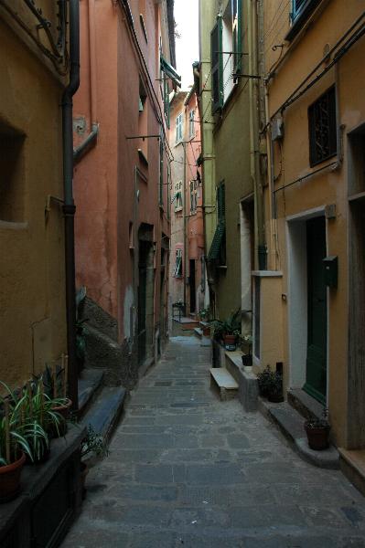 Dsc_511_0089.jpg