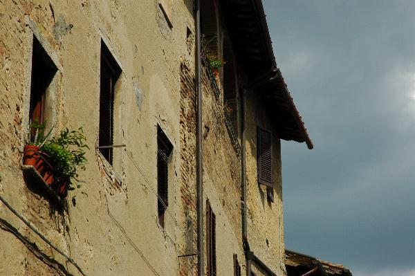 Dsc_611_0096.jpg