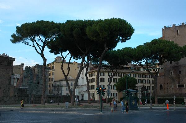 Streets of Roma