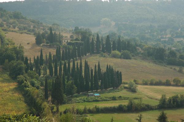 Tuscan hills