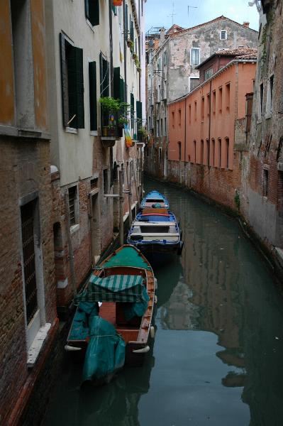 Dsc_665_0712.jpg