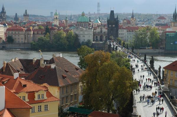 View from the Tower