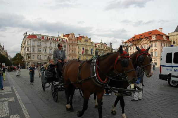 Dsc_737_0172.jpg