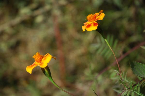 lt1_0049_0093.jpg