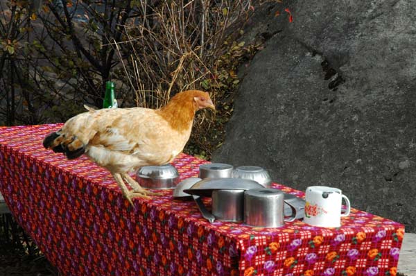 Arriving early for dinner