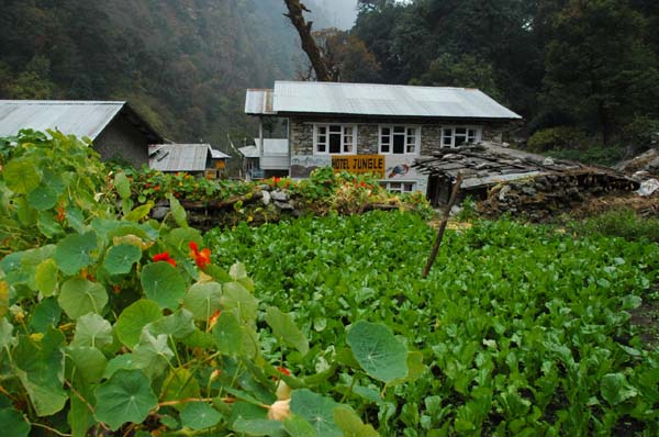 Lama Hotel