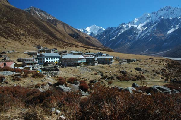 Kyanjin Gompa (3730m) - the final village on the Langtang portion of our trek