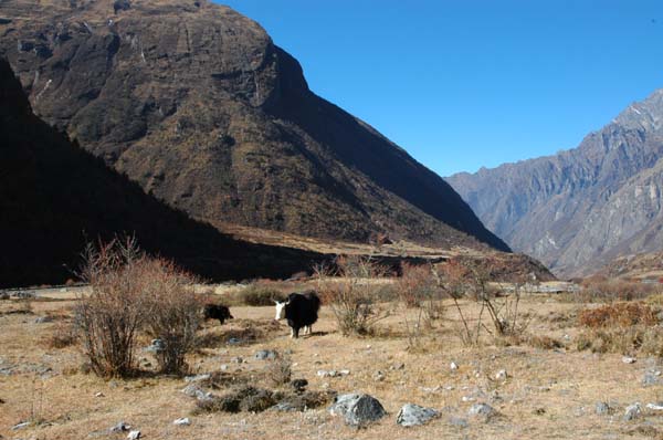 lt1_0476.jpg