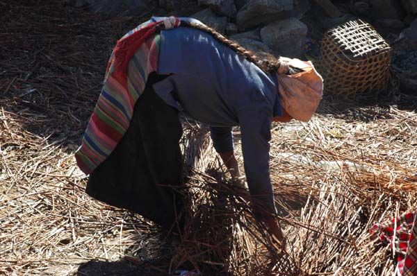 Dawa tell us that this lady is covering a hole with tree-stalks. They place potatoes inside the hole which they will store for winter. After the hole is covered, it is filled with soil.