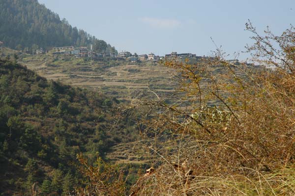 Thulo Syaphru on the top of the hill in the distance. We must descend again to the bridge in the next photo and then regain the elevation on the other side to reach the village.