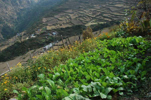 Beautiful garden with lovely views below