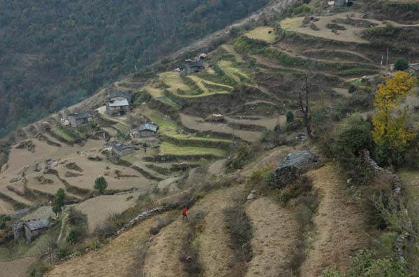 The rice terraced fields are drier now, but still beautiful