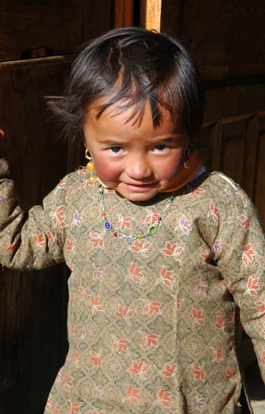 lt1_0701.jpg
